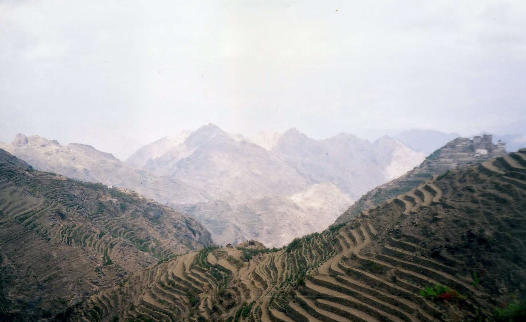 「コーヒー発見伝説」