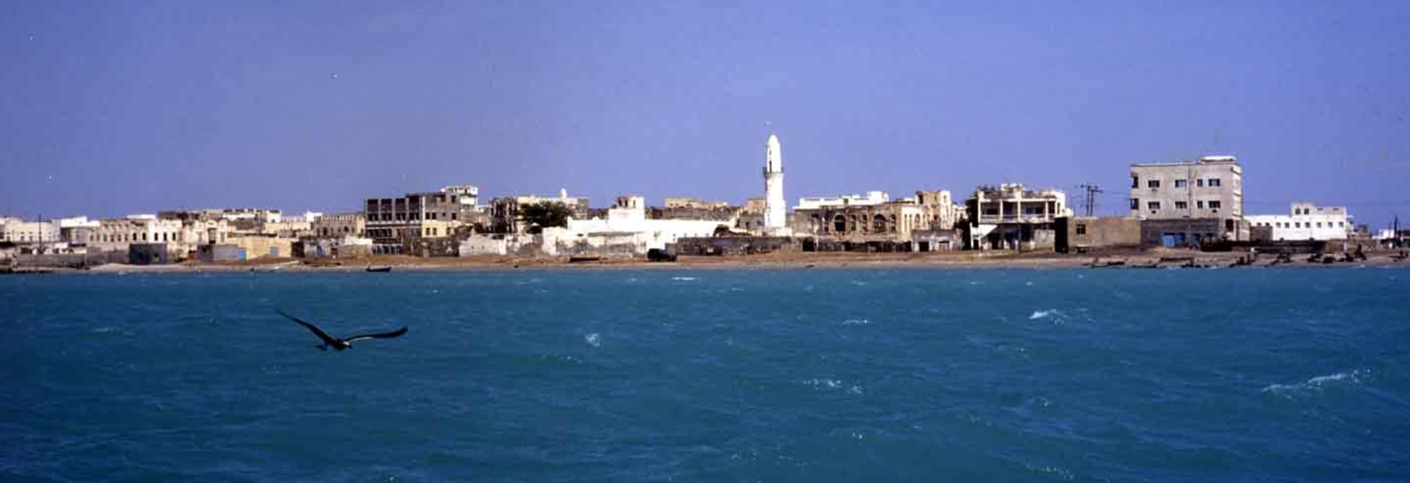 モカに始まりモカに還る・・・