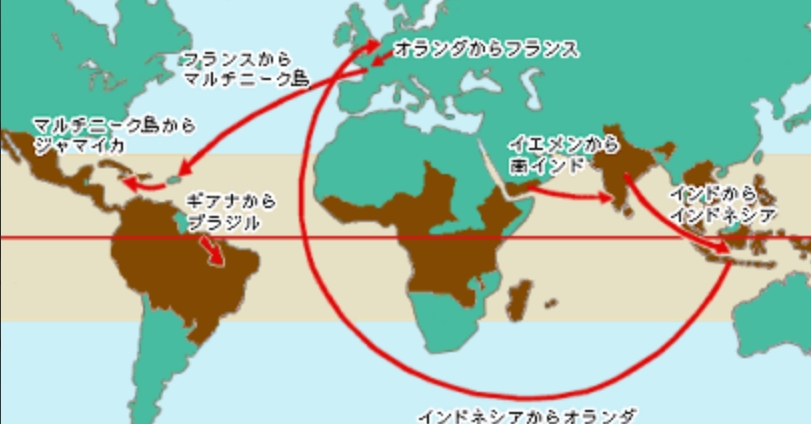 コーヒー栽培の伝播