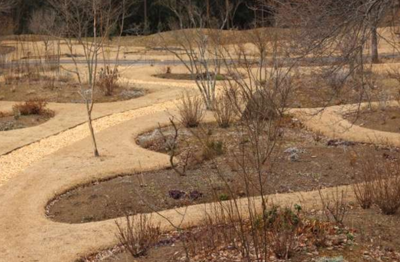 素晴らしいガーデン