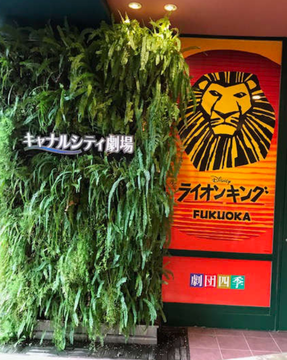 ライオンキング