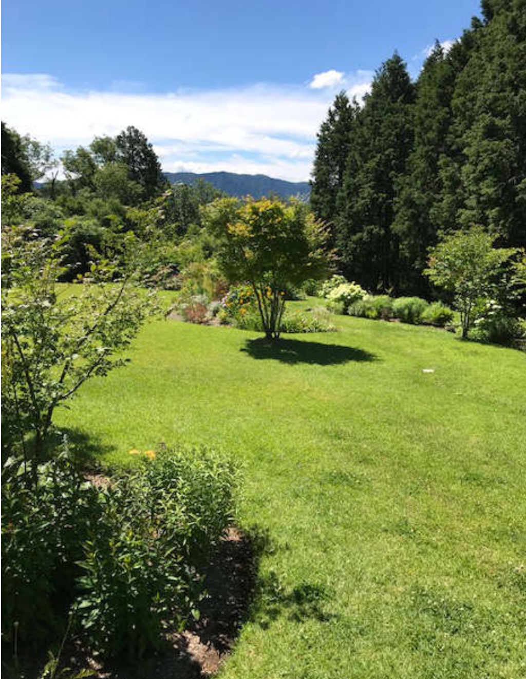 ゆずり葉の木「niwa」