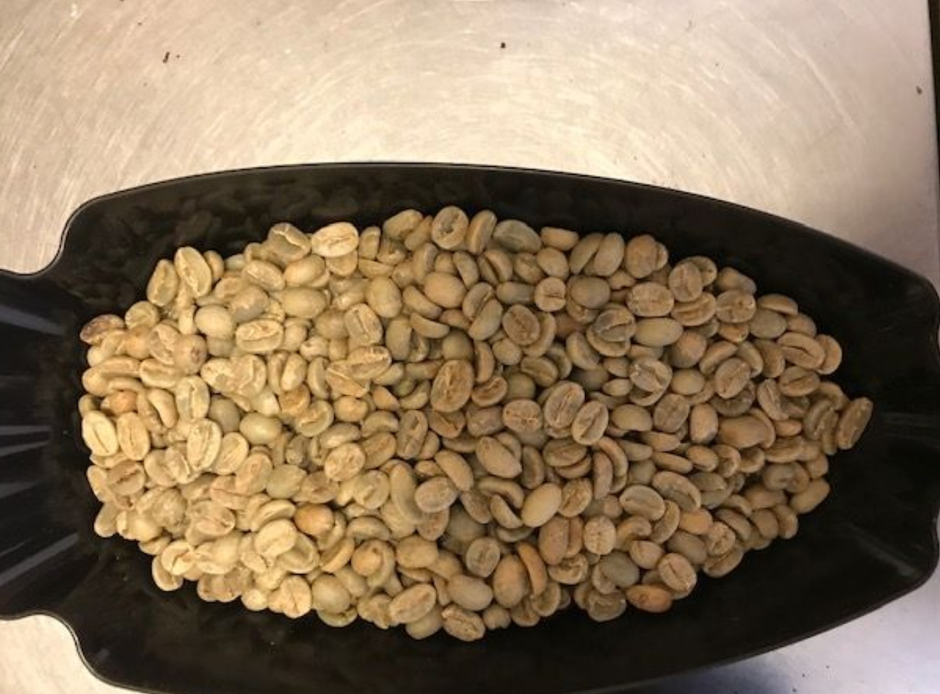 インド「プランテーション」