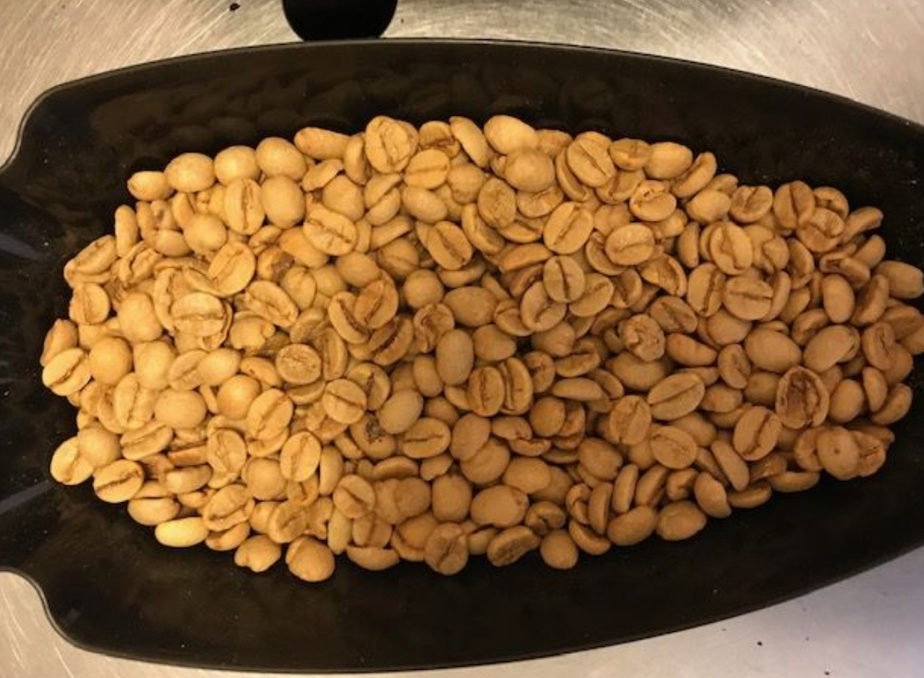 インド「モンスーン・マラバールAA」