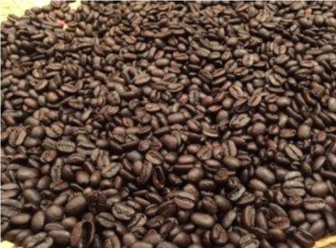 コーヒーの経時変化を楽しもう！