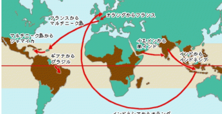 インドネシアのコーヒー